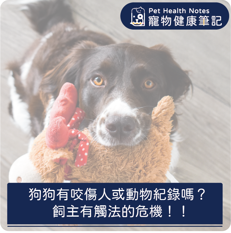 台灣,狗,比特犬,寵物,注意,傷人,法律,飲食,專業,知識,獸醫,動保法,健康食品,寵物健康筆記