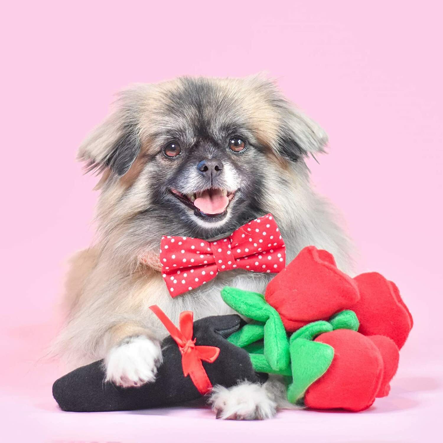 ZippyPaws -情人節紅玫瑰花束