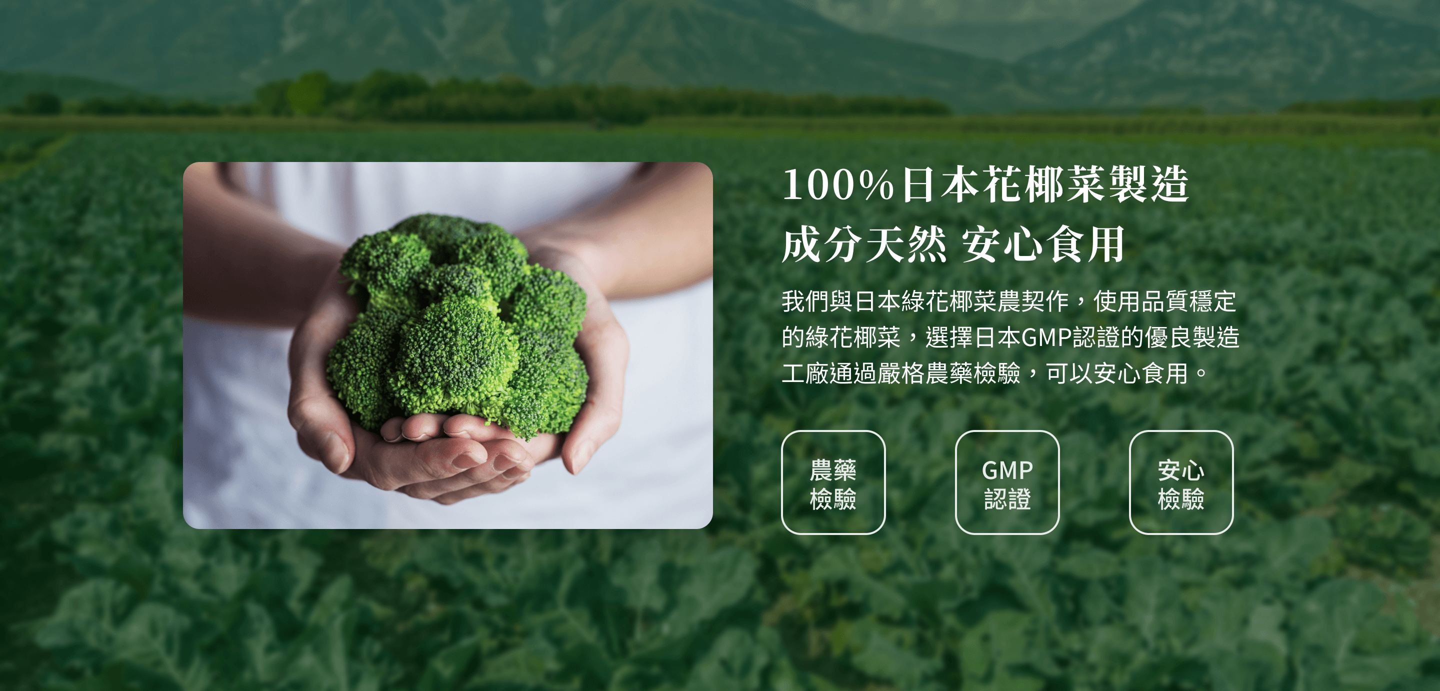 保綠康綠花椰菜多醣體，日本自產花椰菜農契作，通過藥檢、直送生產工廠，經過日本專業技術萃取，日本GMP認證