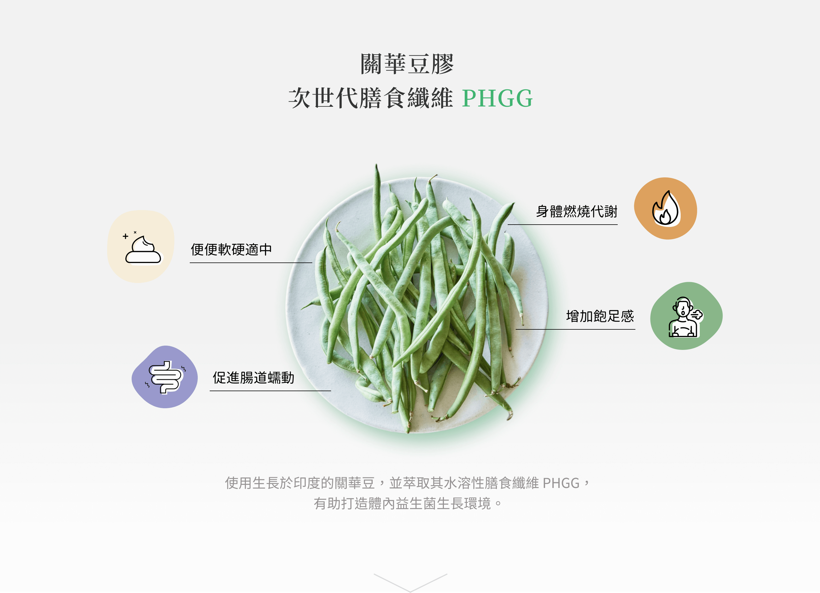 使用生長於印度的關華豆，並萃取其水溶性膳食纖維 PHGG，有助打造體內益生菌生長環境。便便軟硬適中/促進腸道蠕動/身體燃燒代謝/增加飽足感/改善便秘