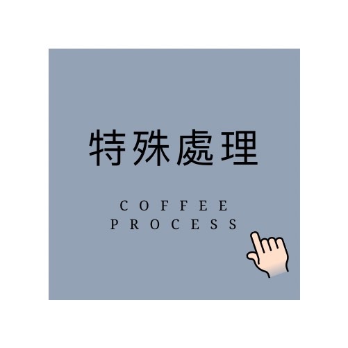 特殊處理法咖啡豆│暖窩咖啡｜新鮮烘焙｜SCA咖啡大師烘焙