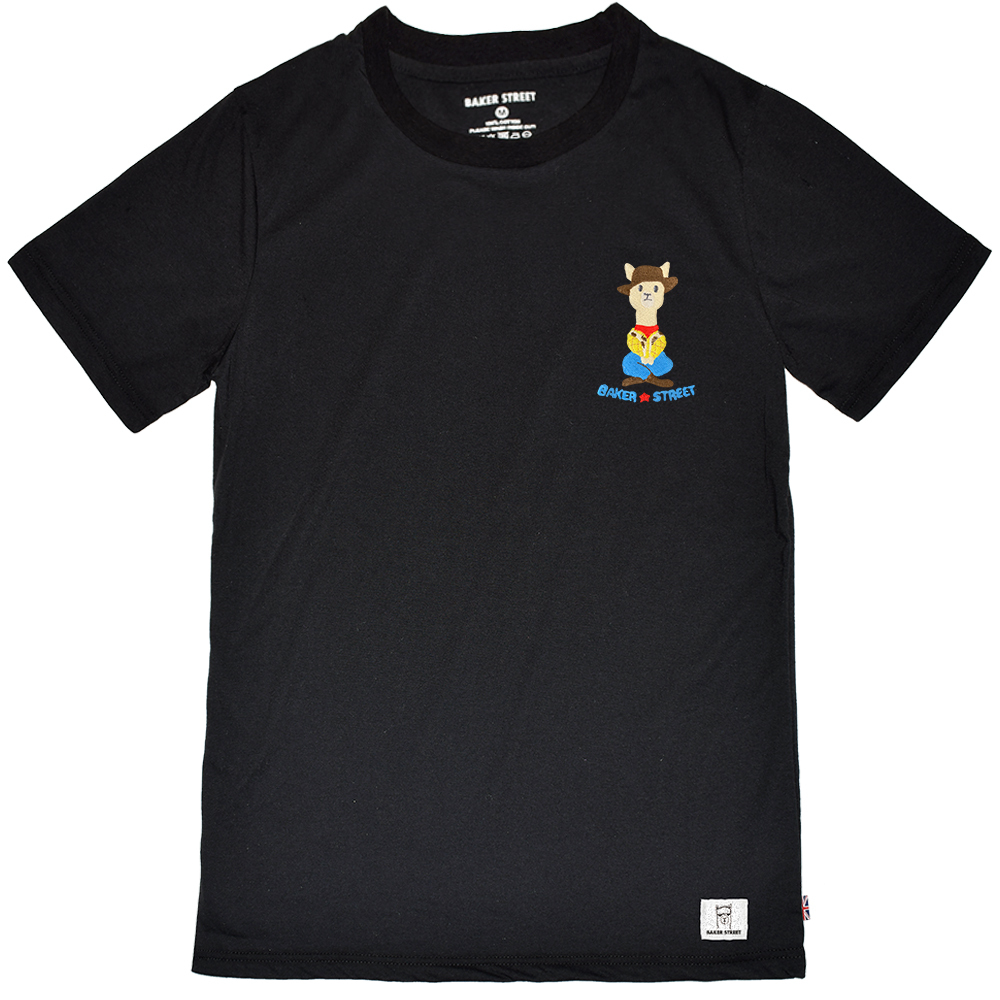 Embroidery-woopaca 牛仔駝 刺繡 短T