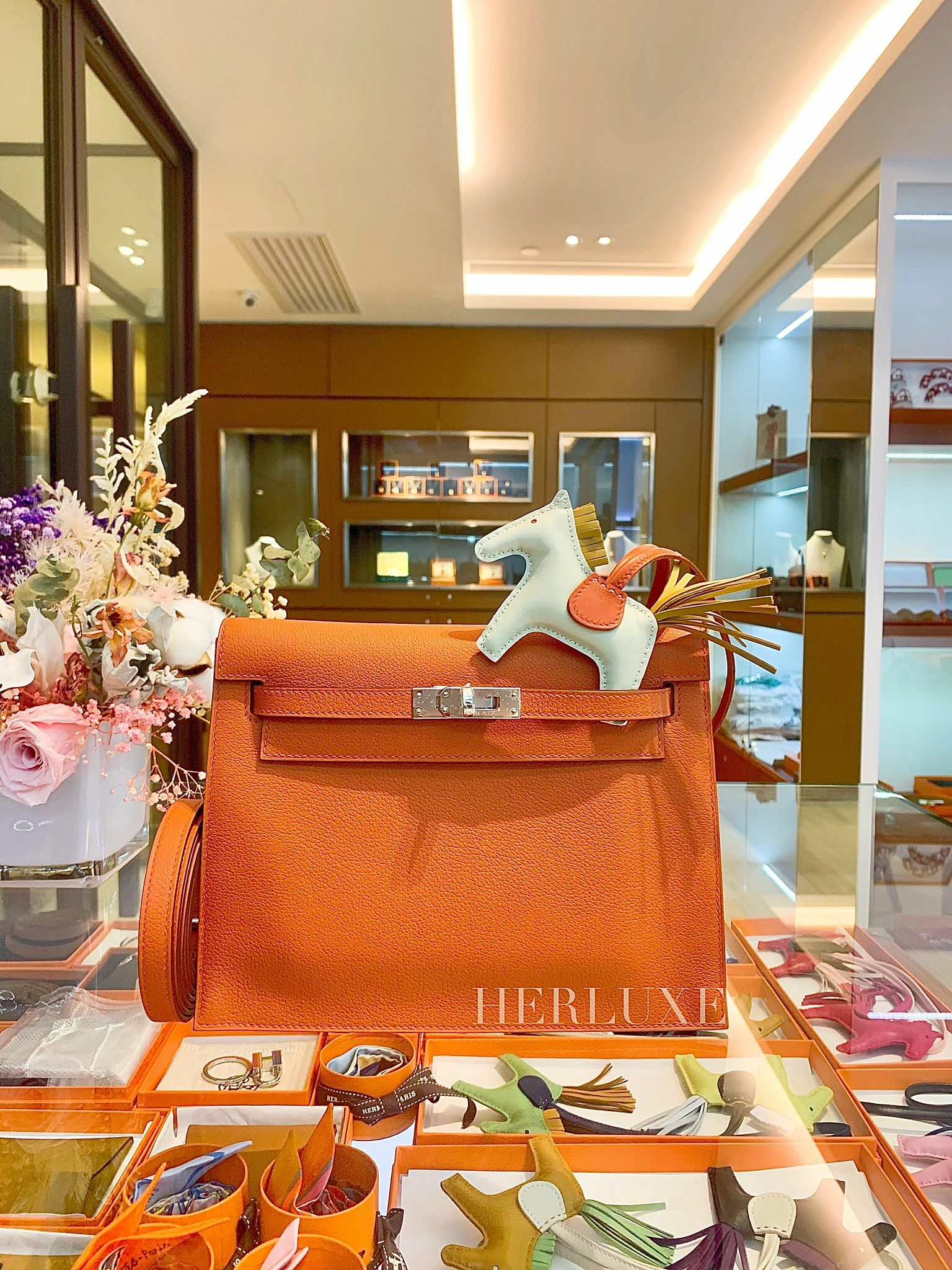 Kelly danse R1 terre battue / 9T capucine ck evercolor W