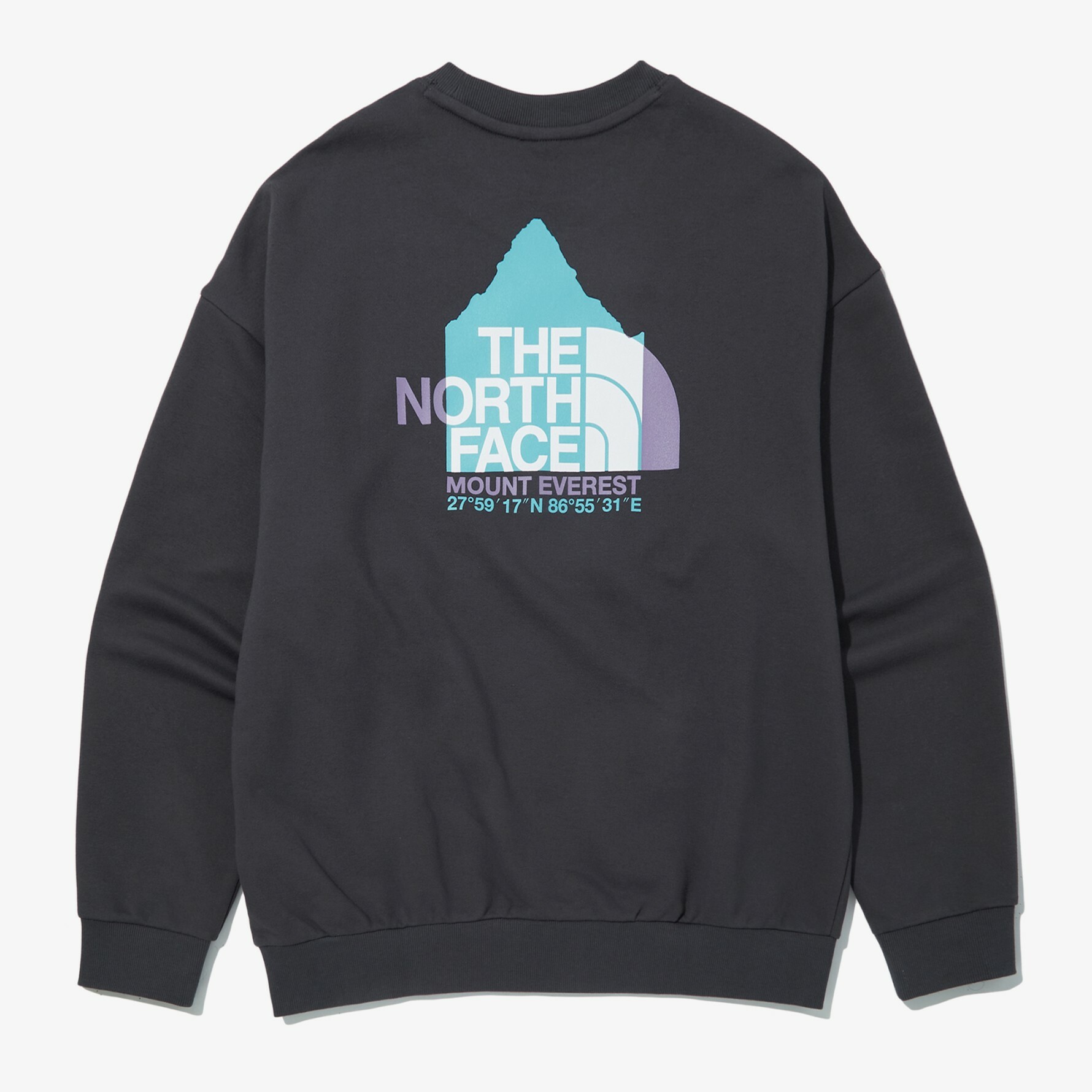 TNF 北臉 露營 長袖 戶外 大學T THE NORTH FACE NM5MN01B