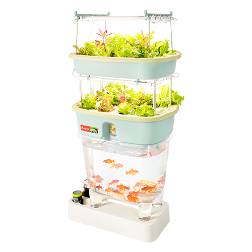 魚菜共生系統V2.0-2