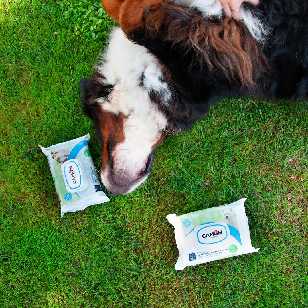 Orme Naturali 草本驅蝨濕紙巾