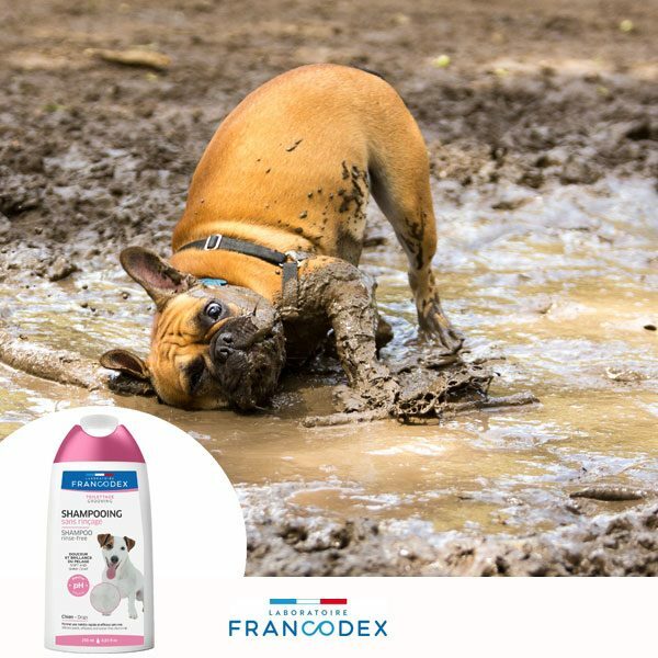 France Francodex No Rinse Shampoo Lotion 250ml