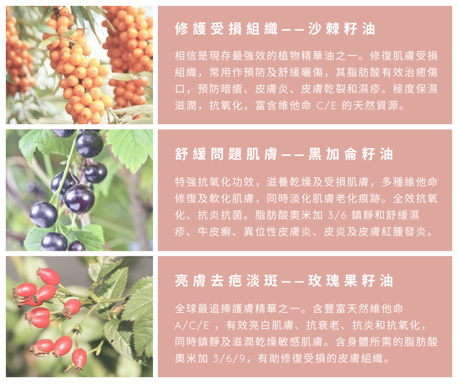 KORENTO 天然零瑕啞緻礦物粉