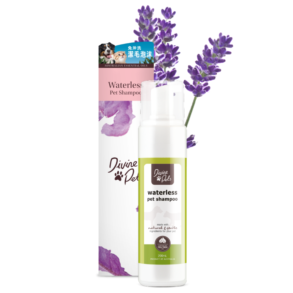 Divine Pets 免沖洗潔毛泡沫 200ml（美容護理）