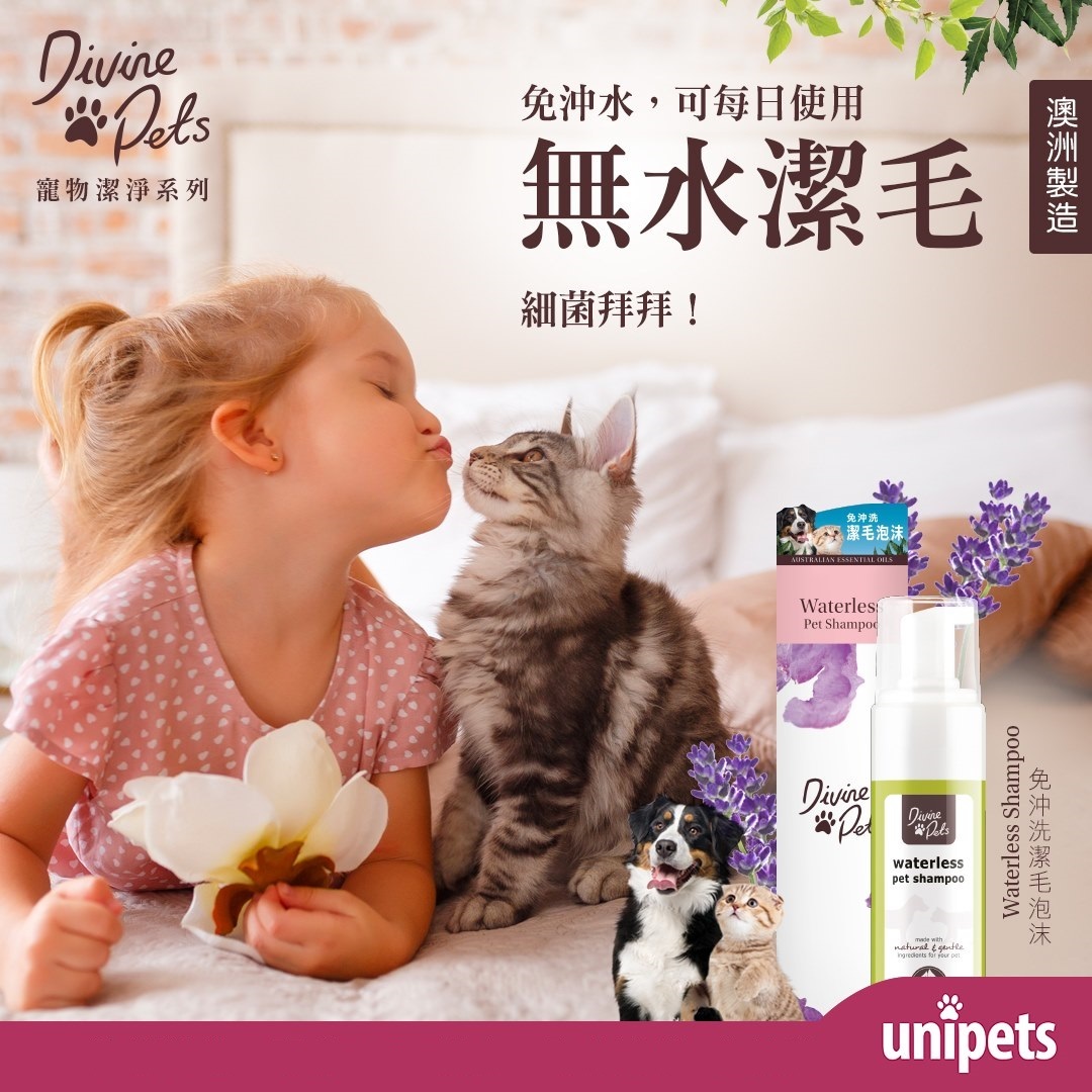 Divine Pets 免沖洗潔毛泡沫 200ml（美容護理）
