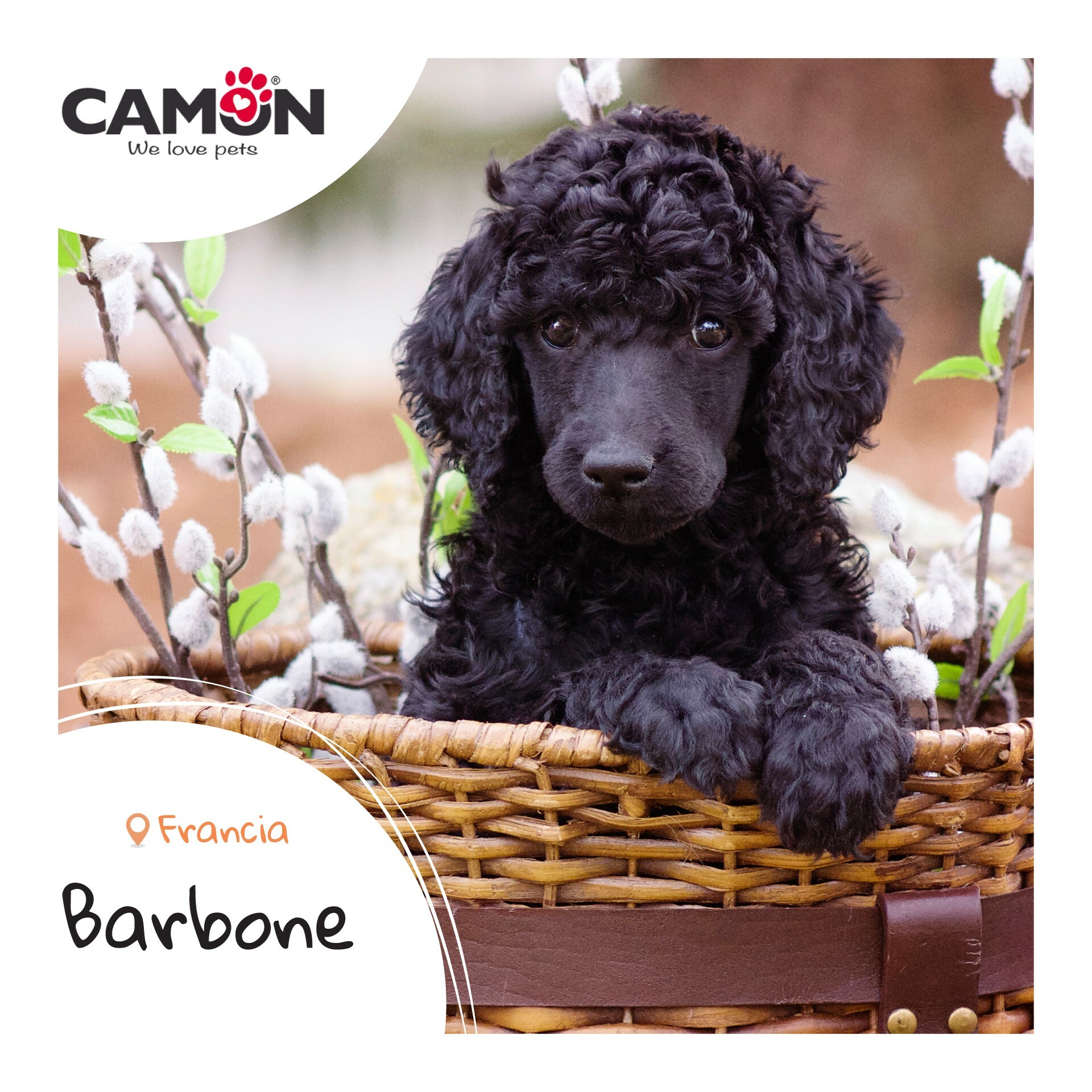 Orme Naturali 篷鬆護毛素．200ml