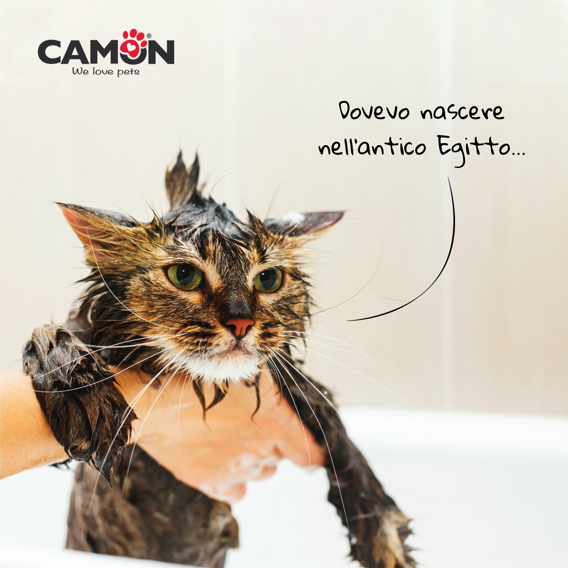 Orme Naturali 貓兒專用．海藻泥洗毛水200ml