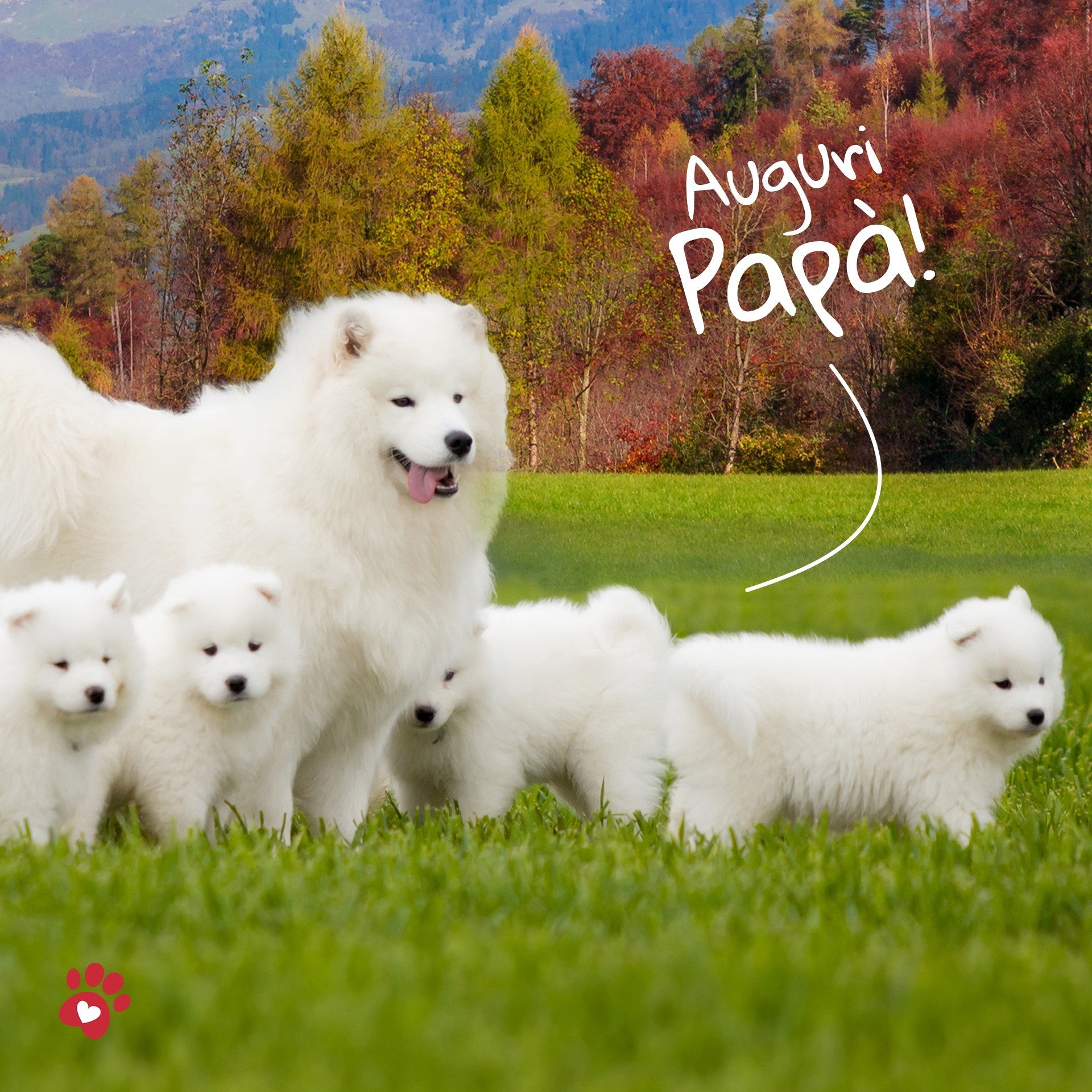 Orme Naturali 白毛洗毛水．200ml