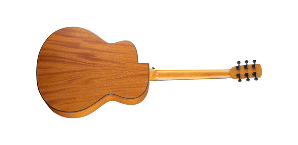 aNueNue 彩虹人木吉他L10羽毛鳥面單板吉他