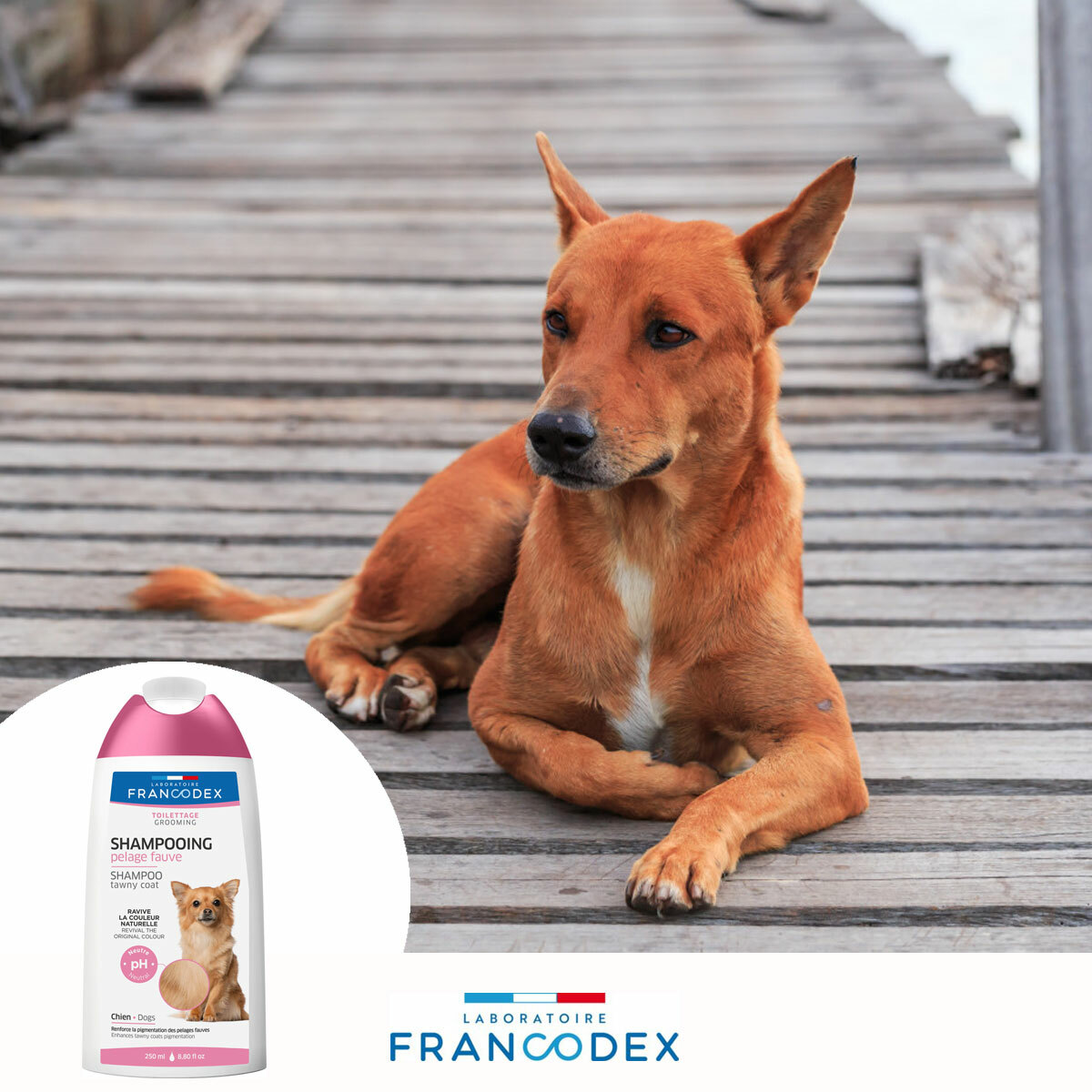 Francodex 犬用啡毛洗毛水 250ml（美容護理）