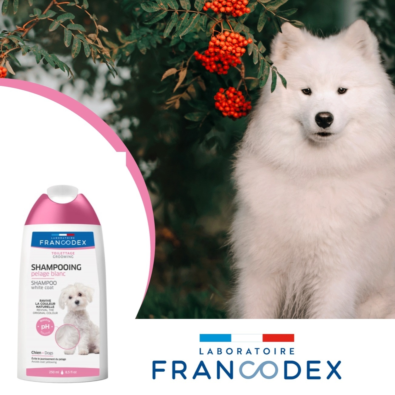 Francodex 犬用 白毛護色洗毛水 250ml/1L