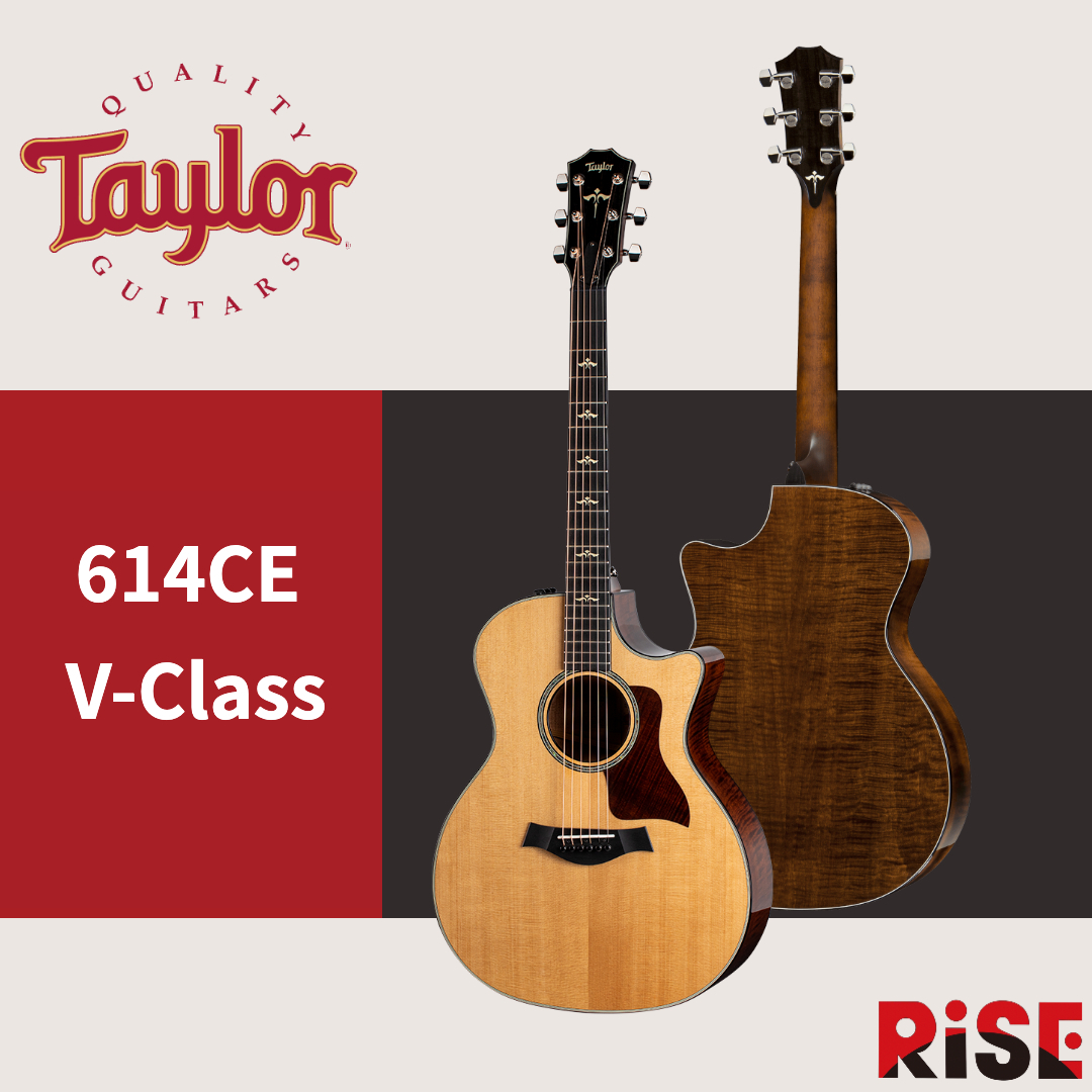 Taylor 614ce V-Class Maple 全單板 民謠吉他