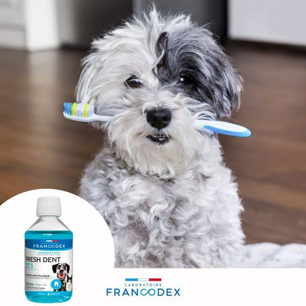 Francodex 貓狗潔齒水 250ml