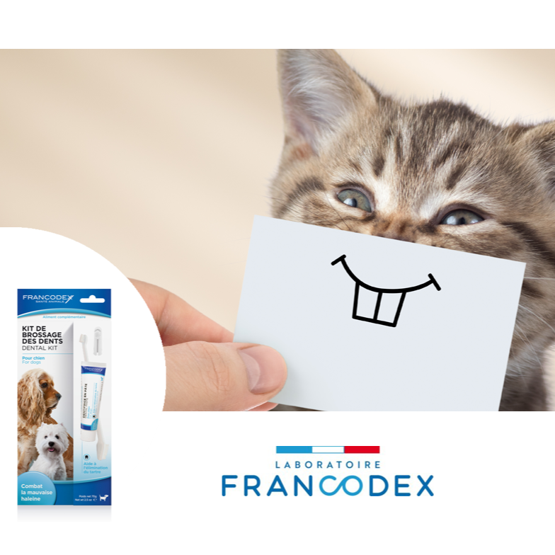 Francodex 貓狗合用 潔齒除口氣酵素牙膏套裝 70g（美容護理）