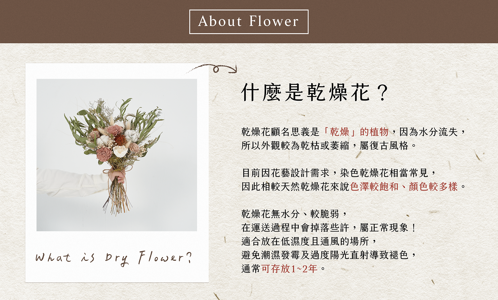 新竹乾燥花店小薇花藝向你介紹什麼是乾燥花？乾燥花該如何保存？