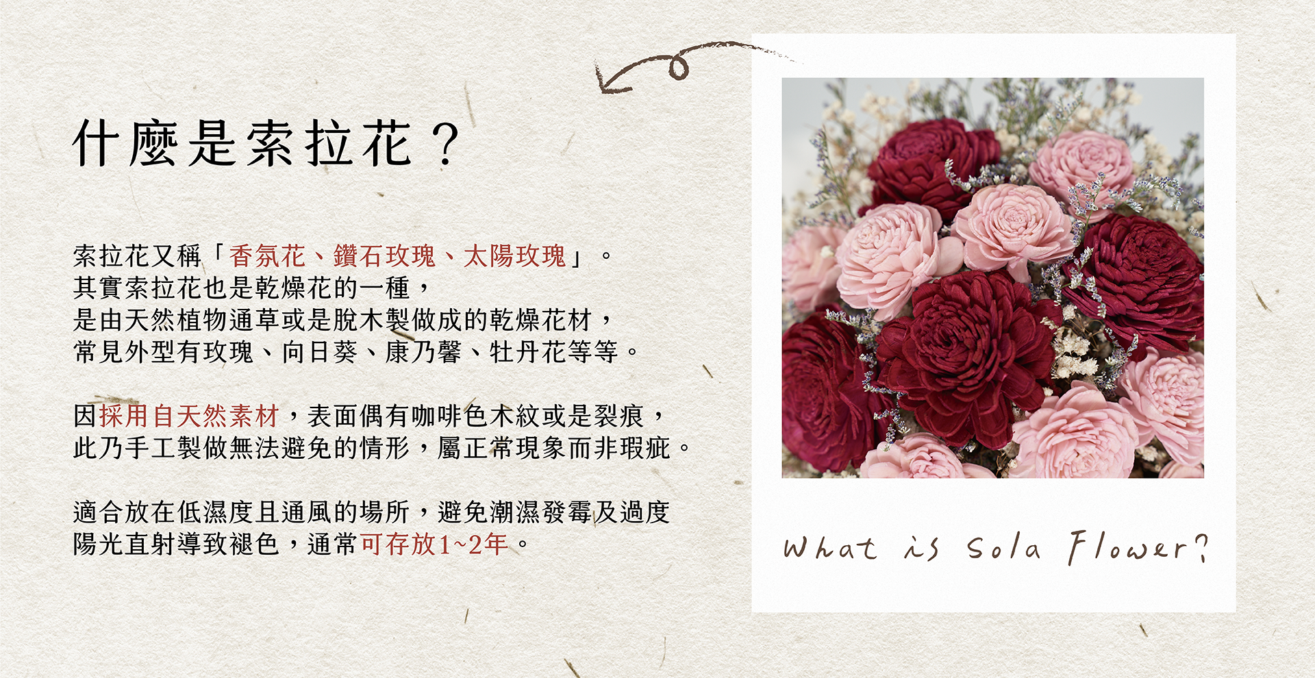 新竹乾燥花店小薇花藝向你介紹什麼是索拉花？什麼是香氛花？它們和天然乾燥花有什麼不同？
