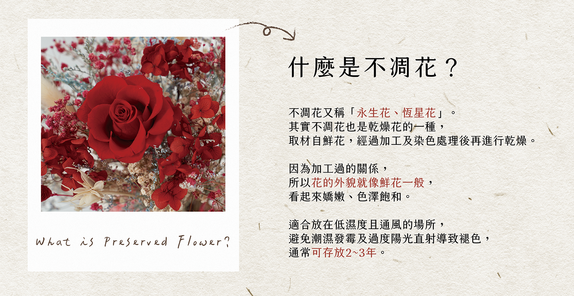 新竹乾燥花店小薇花藝向你介紹什麼是不凋花(永生花)？不凋花如何保存？為什麼不凋花看起來那麼像鮮花呢？
