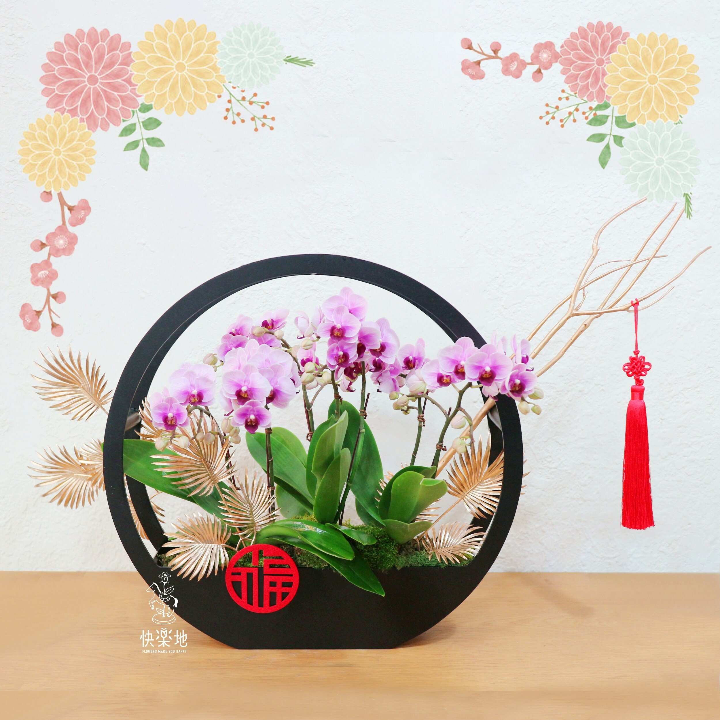 福祿圓滿 I 蘭花盆栽  OP200566