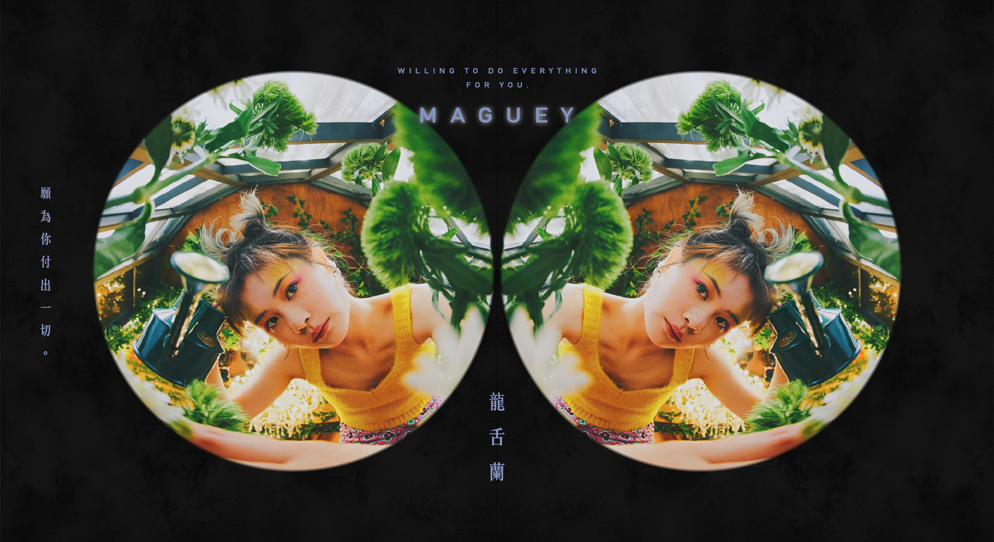 龍舌蘭-願為你付出一切。