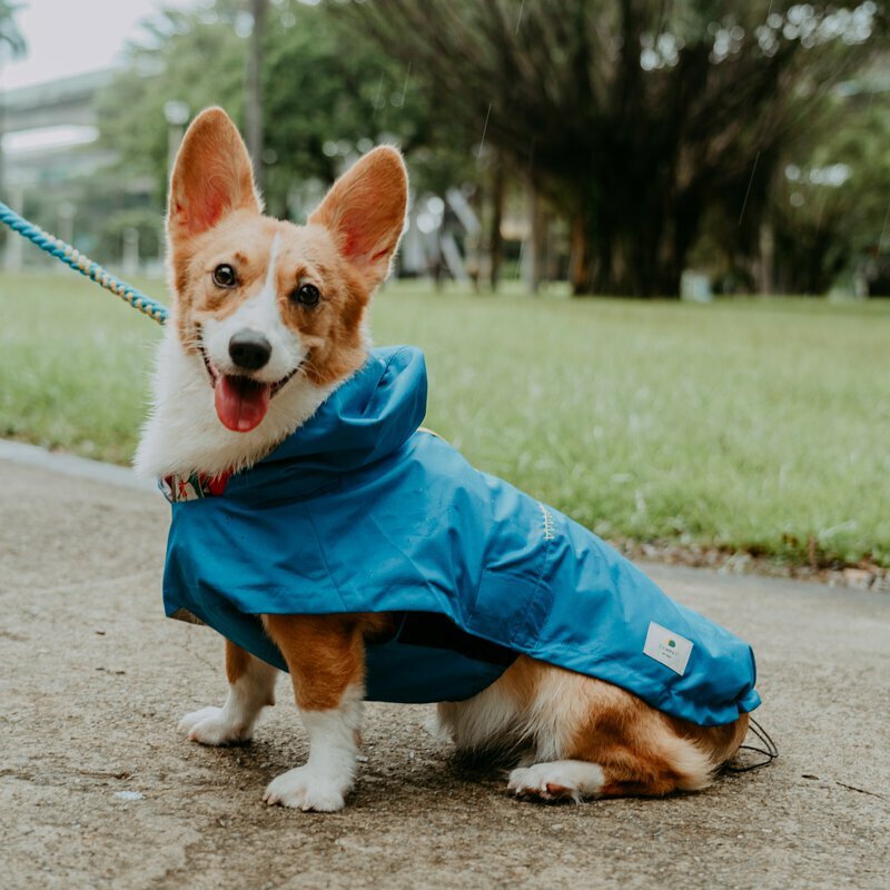 CAMPET -  SPACE A 全境防水快穿衝鋒衣(四色）