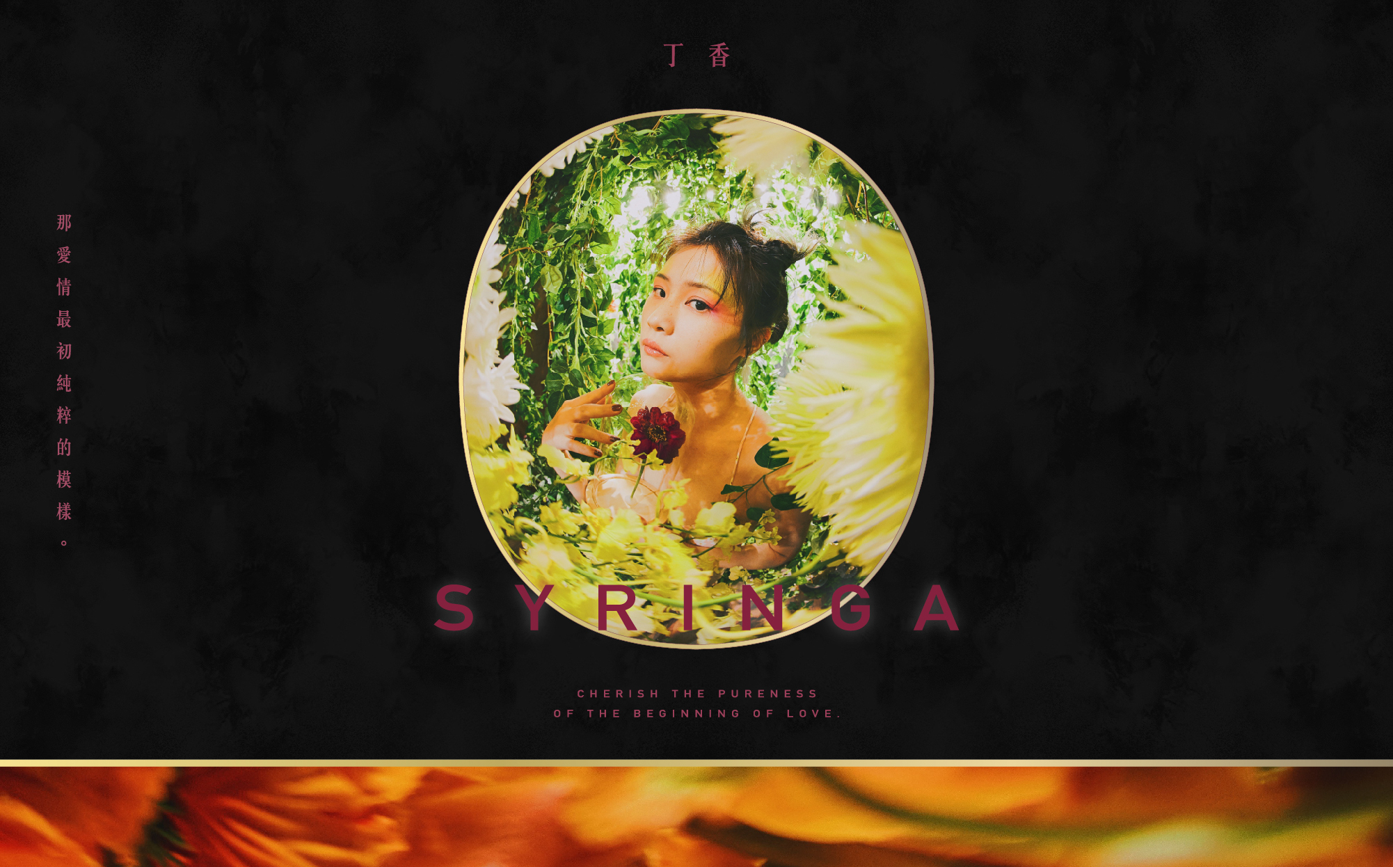 丁香-那愛情最初純粹的模樣。