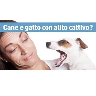 Ecuphar Orozyme Oral Hygiene Gel with Brush 70g