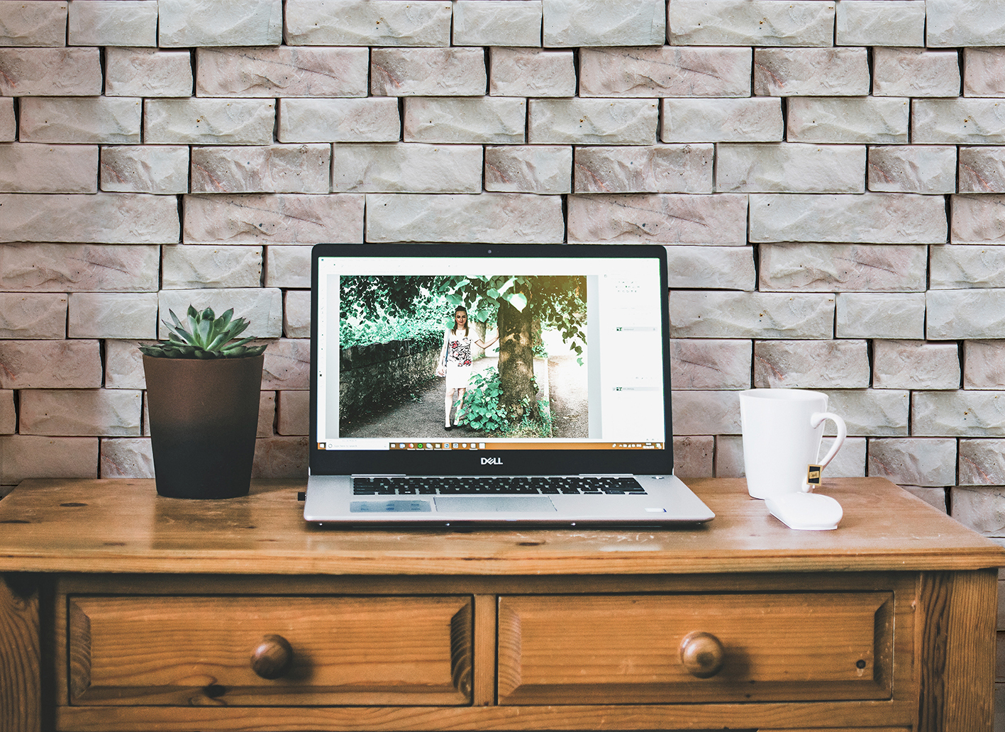 美牆壁布//呼之欲出(約1.5坪/捲)