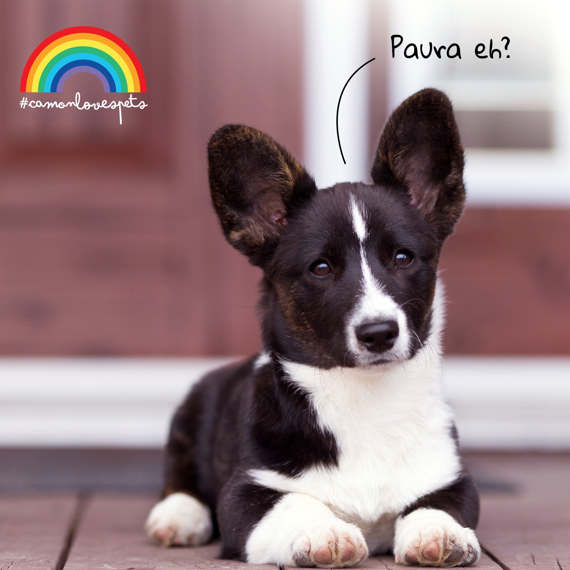 Orme Naturali 天然草本潔耳液．200ml（美容護理）