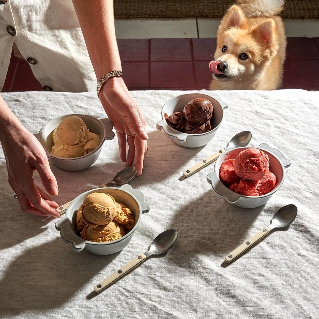 SABRE | Bistrot 復古酒館鈕扣系列 | 配餐用叉匙組 | 亮面 | 象牙色