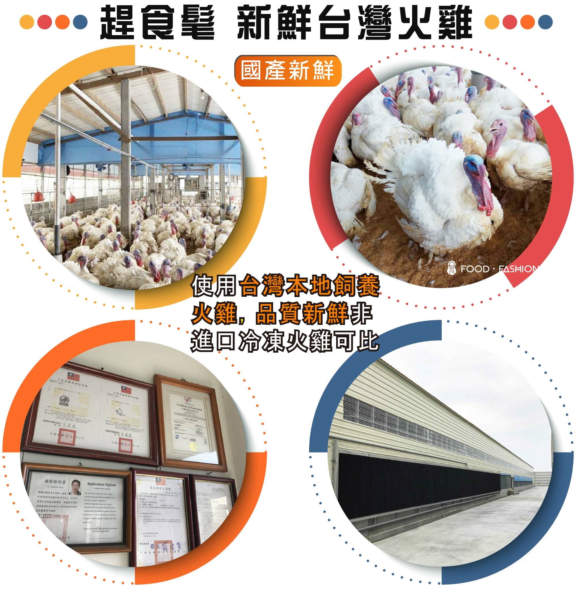 趕食髦 爆能火G_國產新鮮台灣火雞 - 使用台灣本地友善飼養火雞，品質新鮮非進口冷凍火雞可比。全台第一家獲國際ISO/HACCP認證的現代化火雞養殖場