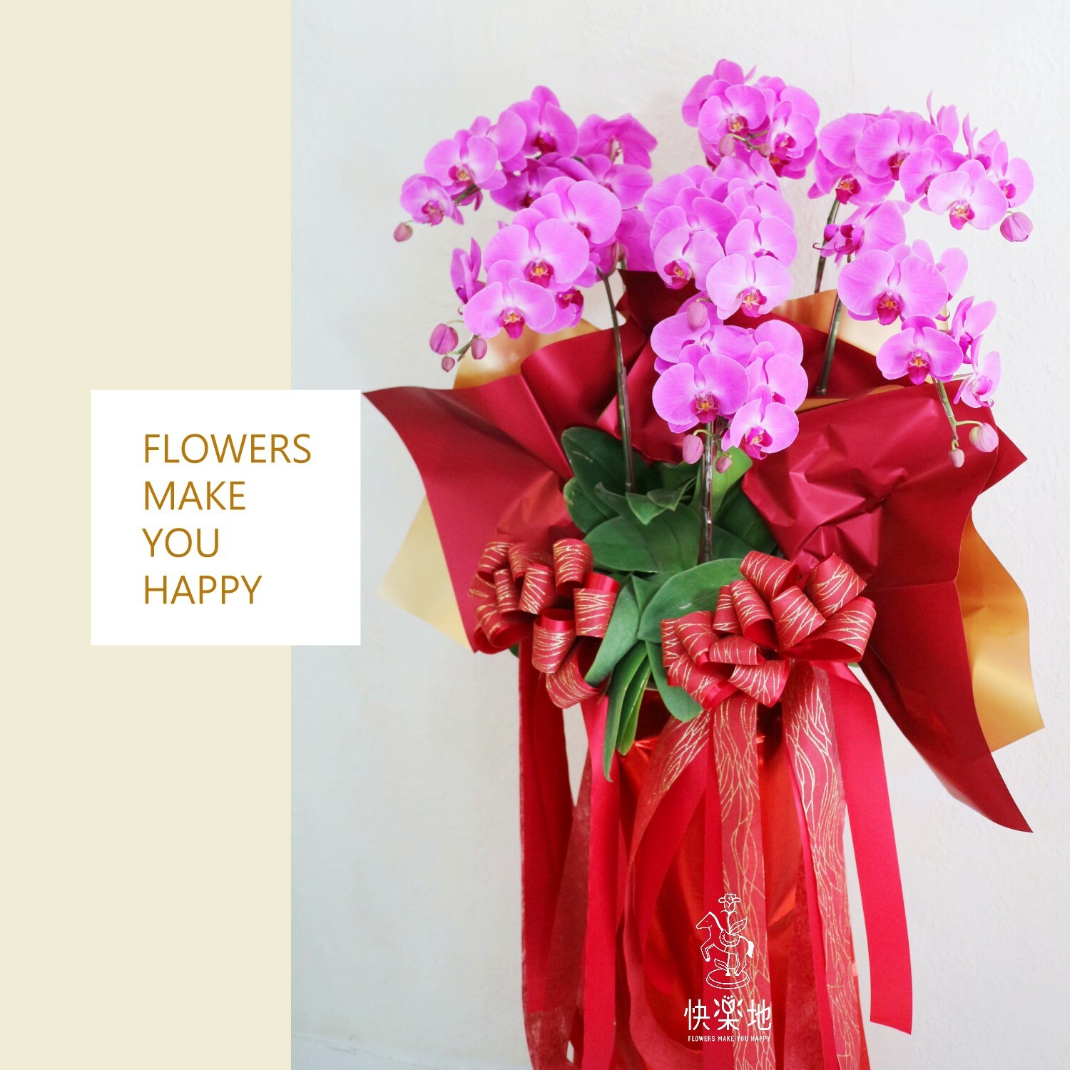 蝶舞驚豔 I 蘭花盆栽     OS220503