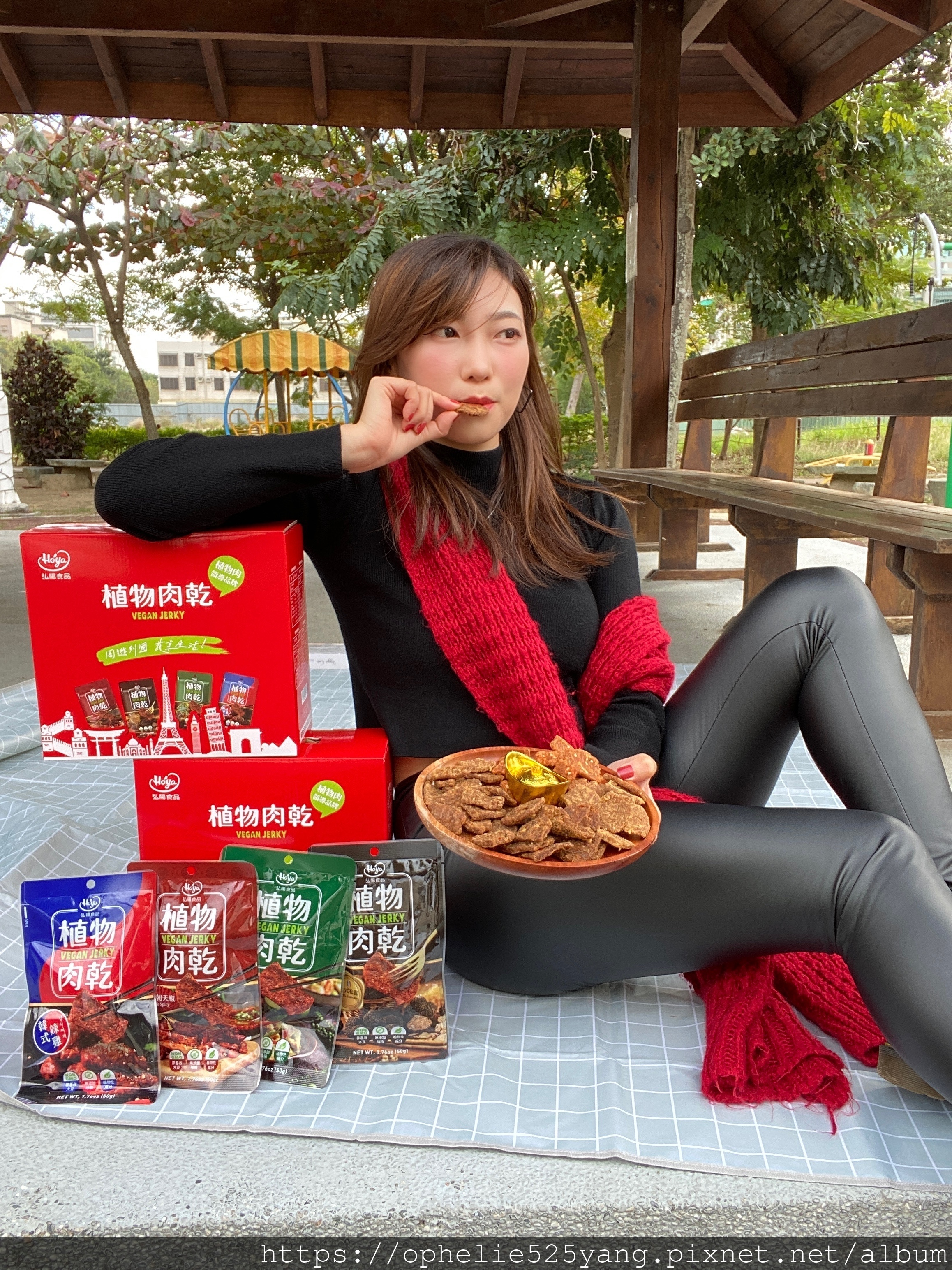 植物肉乾,植物肉,素食,素肉乾,弘陽食品,hoya蔬食超市,法式松露,Vegan jerky,Plant meat,hoyafoods,vegan,French,truffles,新年禮盒,禮盒推薦,送禮推薦,川味,韓式,泰式,素食零食,零食推薦