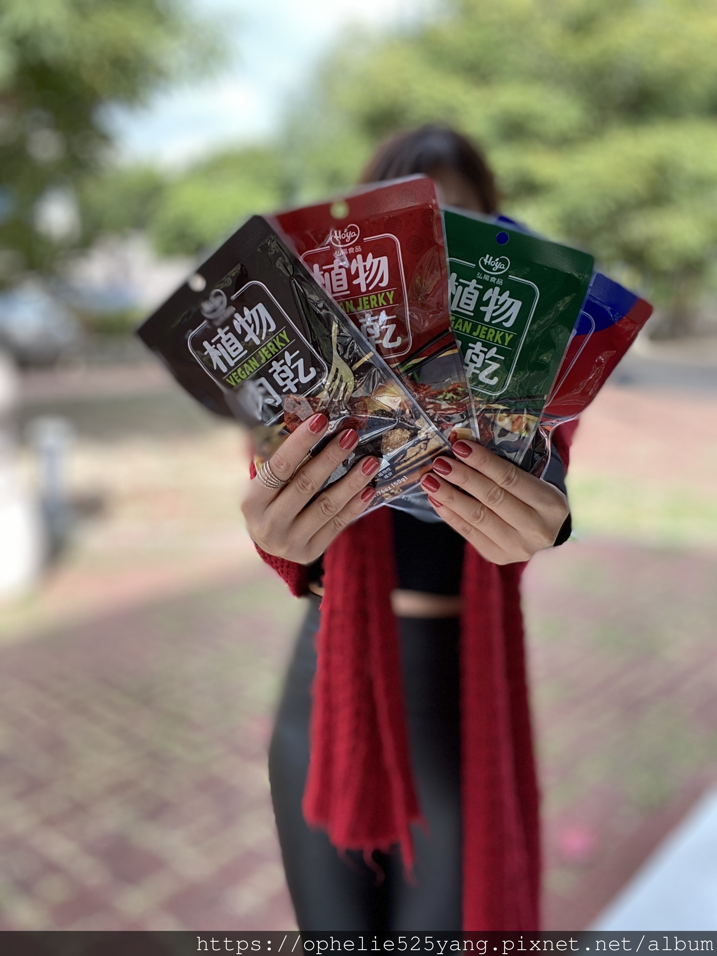 植物肉乾,植物肉,素食,素肉乾,弘陽食品,hoya蔬食超市,法式松露,Vegan jerky,Plant meat,hoyafoods,vegan,French,truffles,新年禮盒,禮盒推薦,送禮推薦,川味,韓式,泰式,素食零食,零食推薦