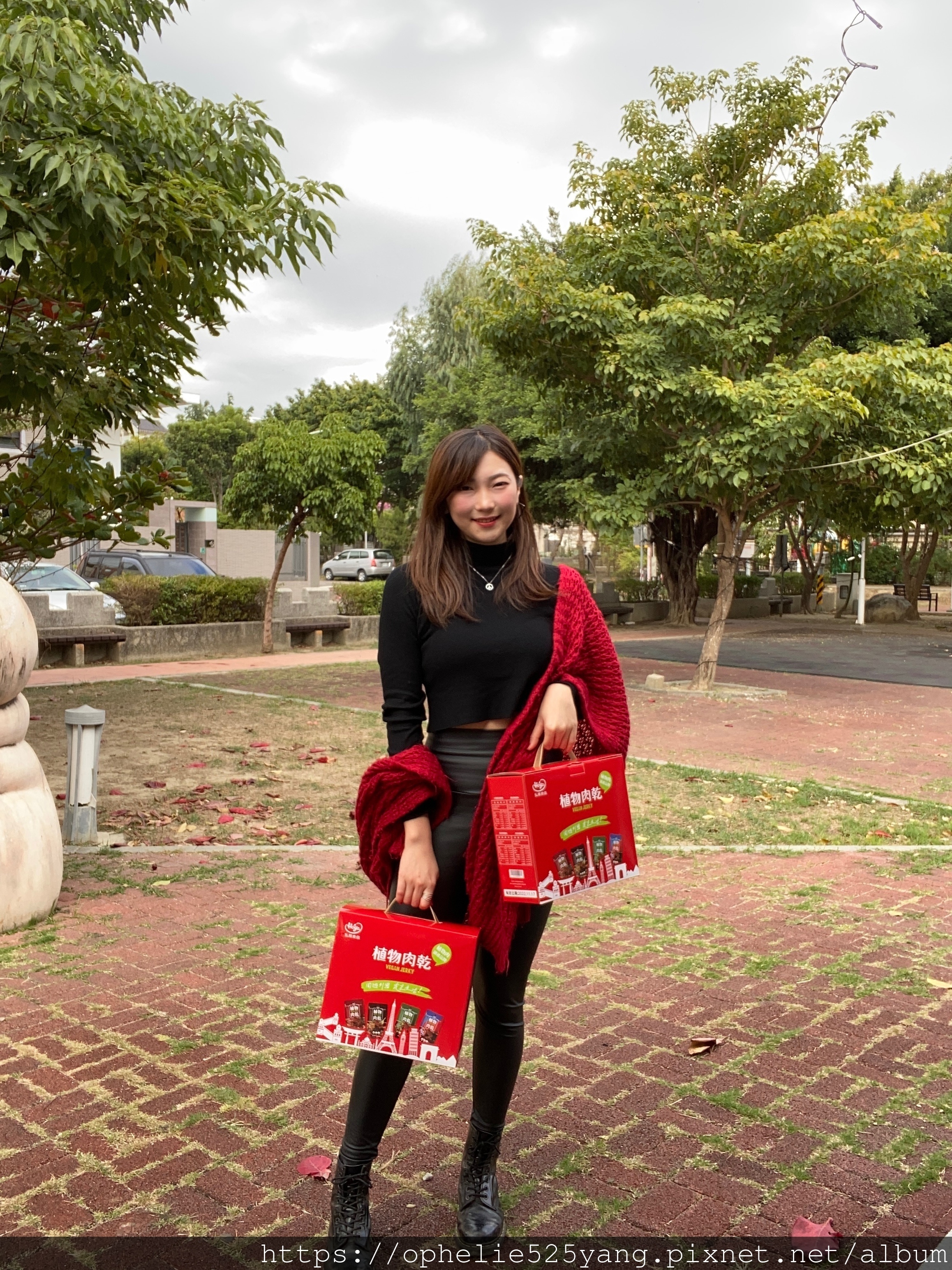 植物肉乾,植物肉,素食,素肉乾,弘陽食品,hoya蔬食超市,法式松露,Vegan jerky,Plant meat,hoyafoods,vegan,French,truffles,新年禮盒,禮盒推薦,送禮推薦,川味,韓式,泰式,素食零食,零食推薦