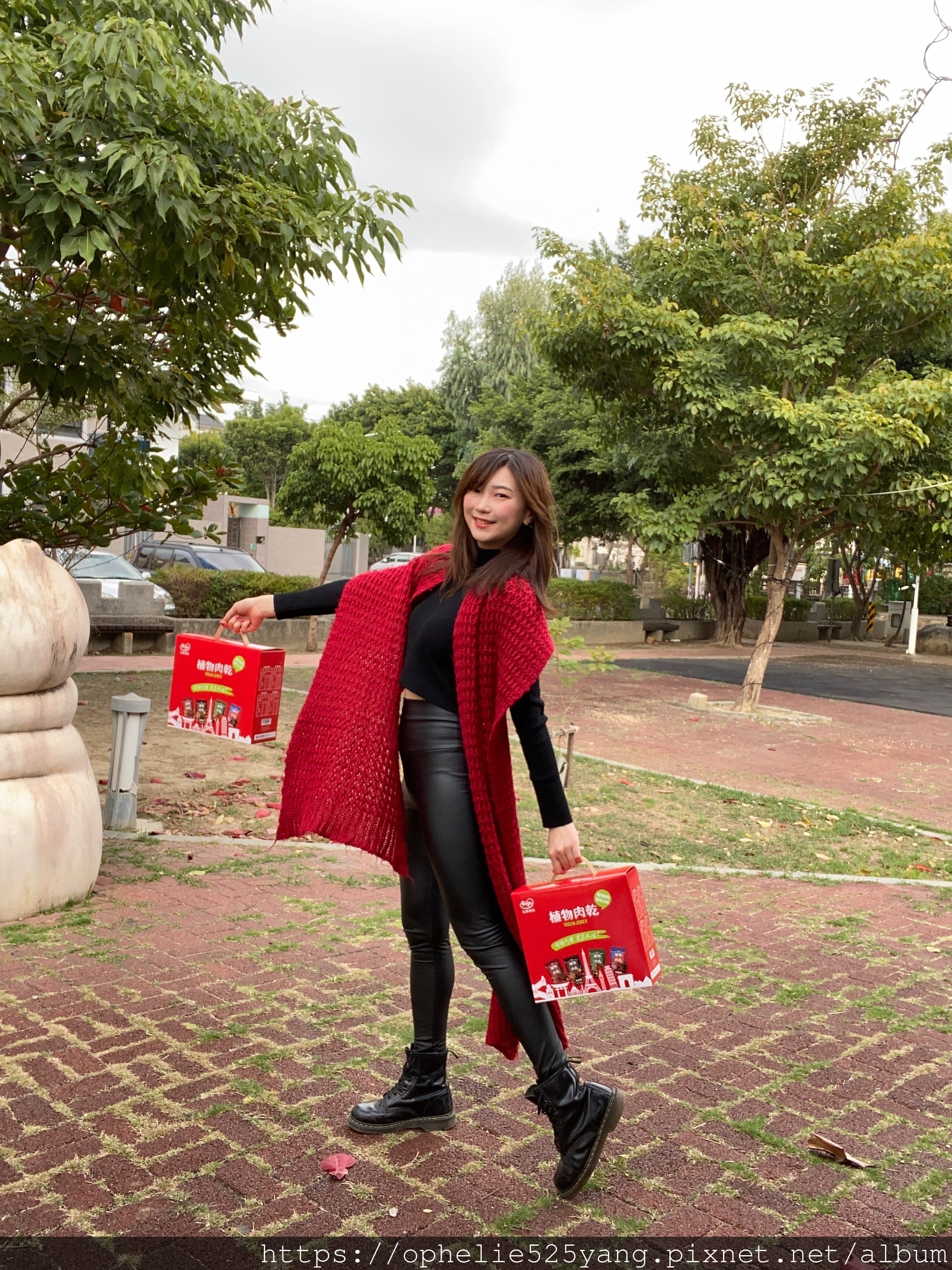 植物肉乾,植物肉,素食,素肉乾,弘陽食品,hoya蔬食超市,法式松露,Vegan jerky,Plant meat,hoyafoods,vegan,French,truffles,新年禮盒,禮盒推薦,送禮推薦,川味,韓式,泰式,素食零食,零食推薦