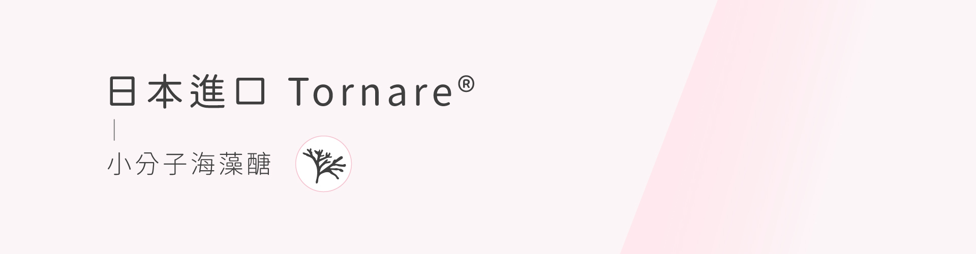 私密處,清潔,保養,美白,gini