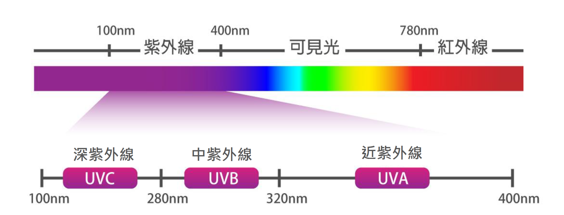 紫外線差異