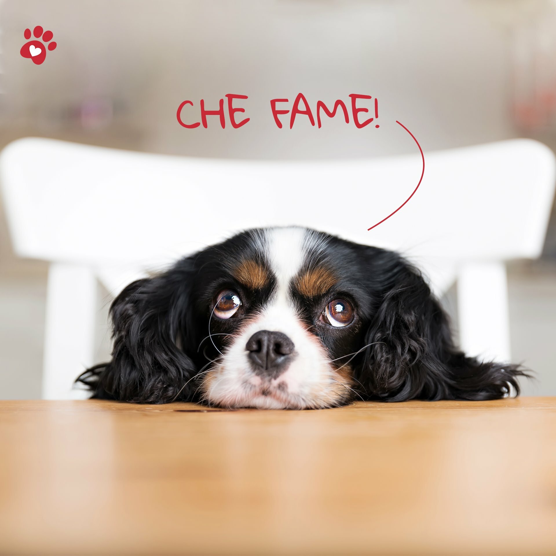 Orme Naturali Natural Herb Eye Cleanser 200ml