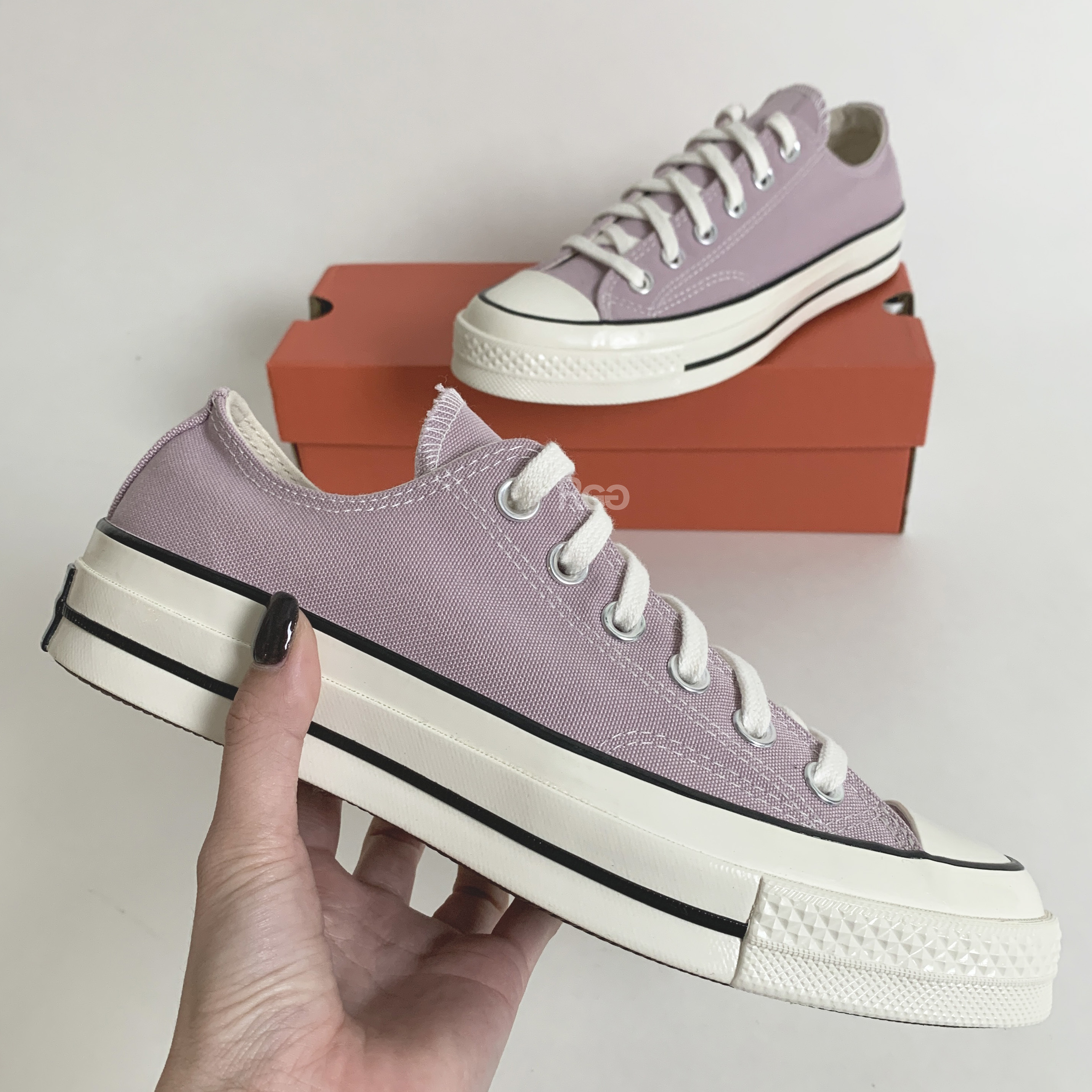 Converse 1970 / 粉紫低筒 /