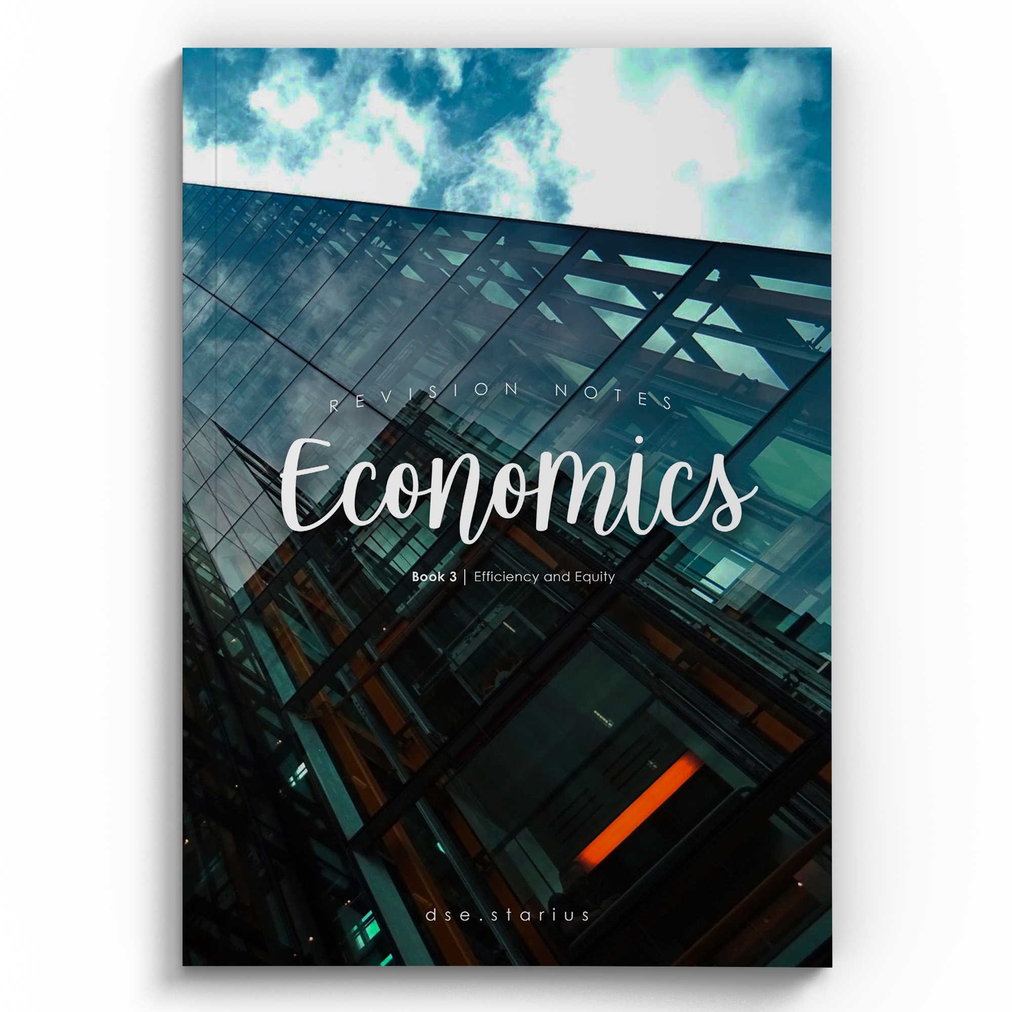 Best 7 45分考生製作 DSE Econ Book 3 筆記 (Efficiency and Equity)