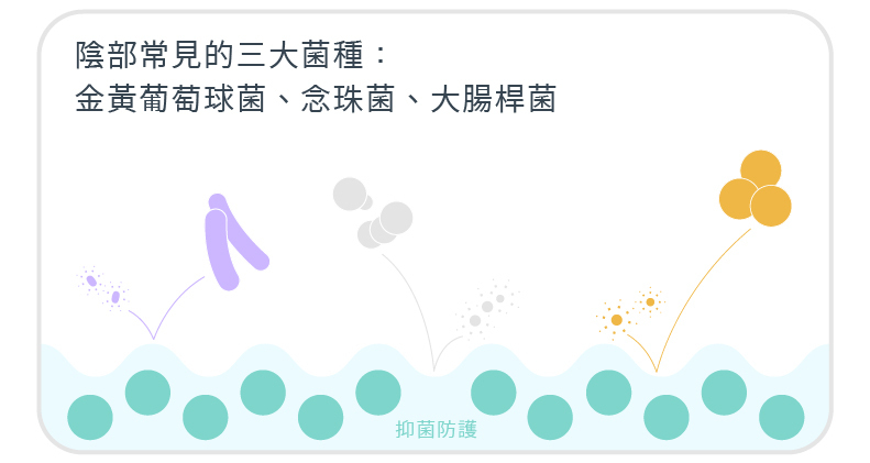 レッドパンツ ライト – デイリーユース向けのミッドウエスト - アンダーウェア - ポリエステル ブラック