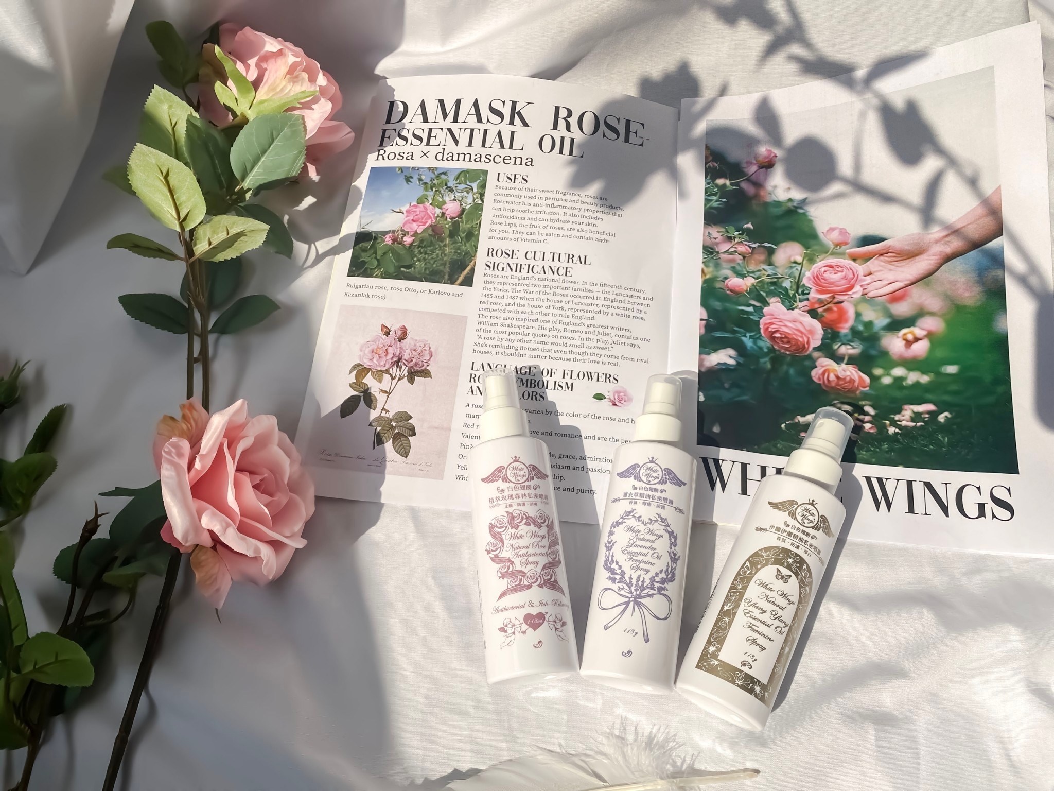 私密處產品百百種，買錯了可能導致反效果，甚至讓那裡受傷？！你不知道那些潛伏在私密處產品中的危機！