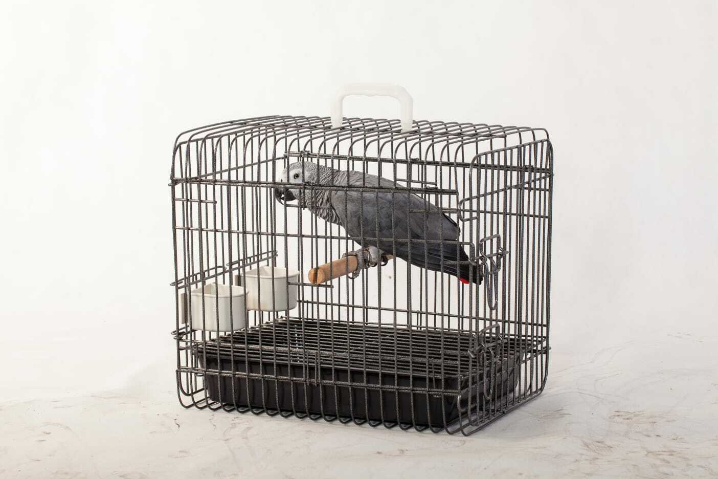 RIYOKA 鸚鵡外帶籠 (手提設計)