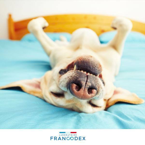 Francodex BiOdene Repair Balm For Species 50ml