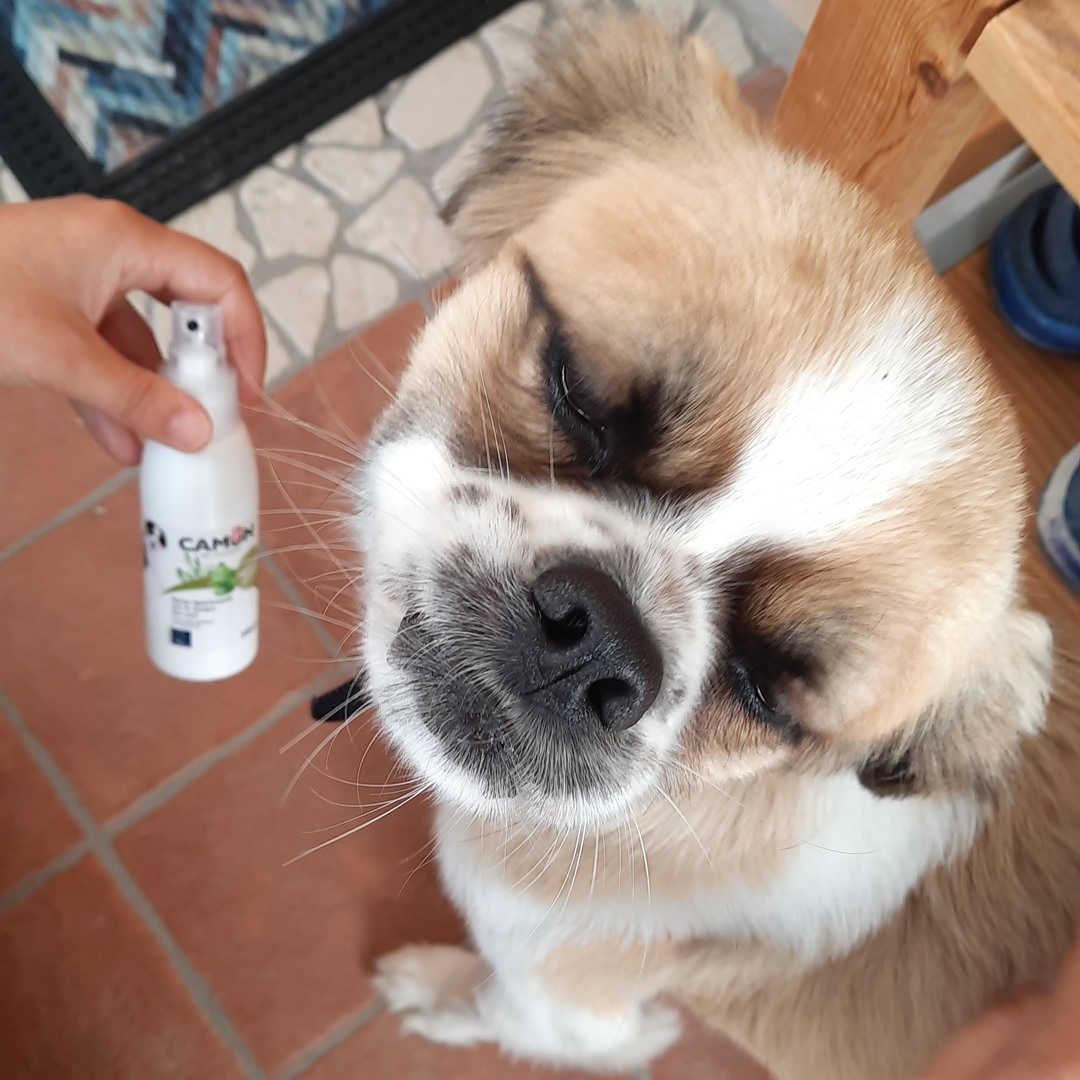 <Made in Italy> Orme Naturali Skin Care for Dog and Cat 100ml